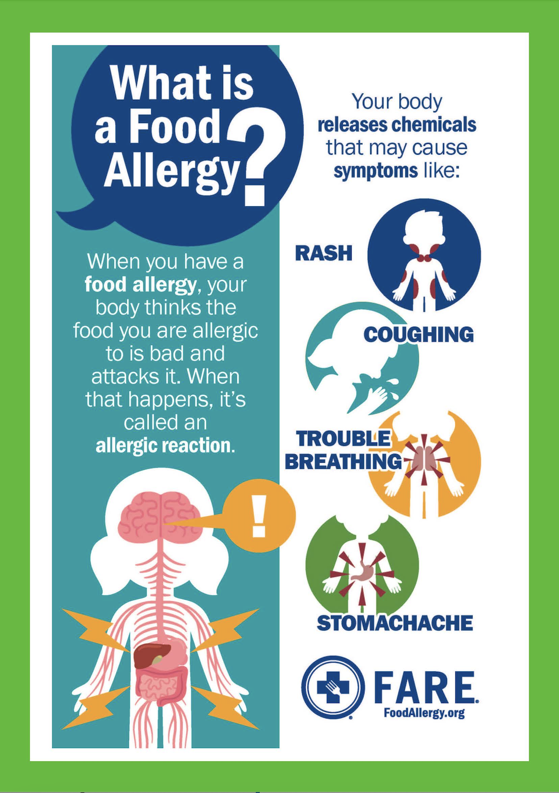 Allergy Awareness Page 1